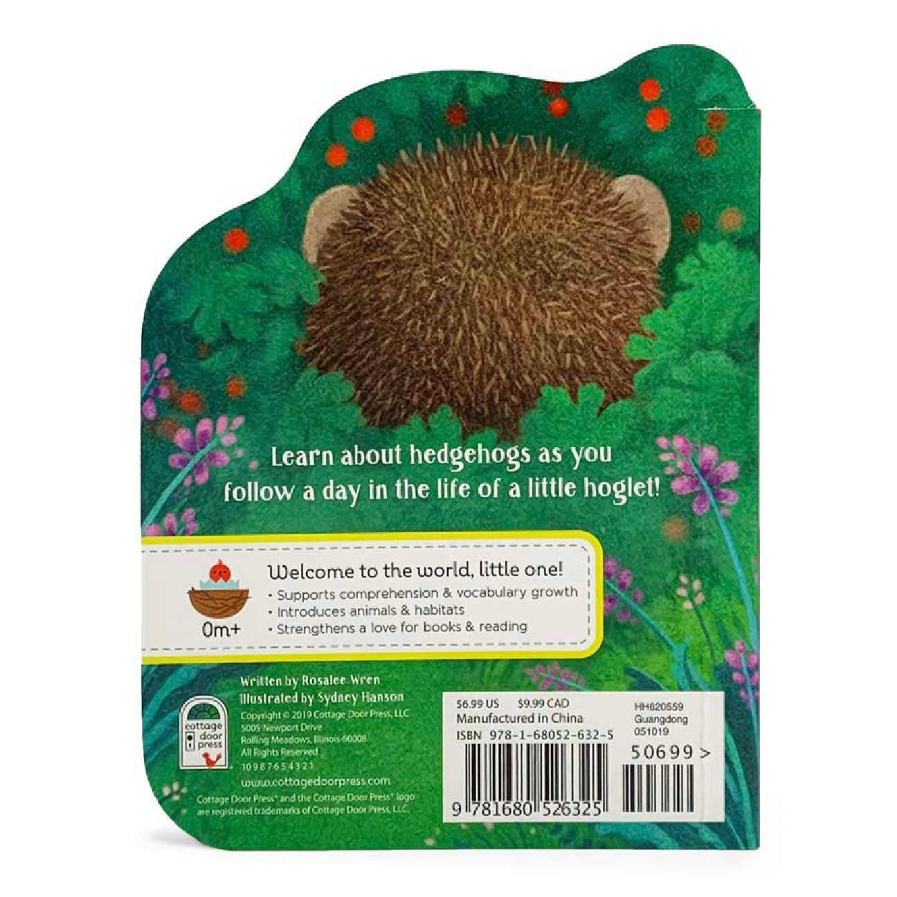 A Little Hedgehog - Board Book