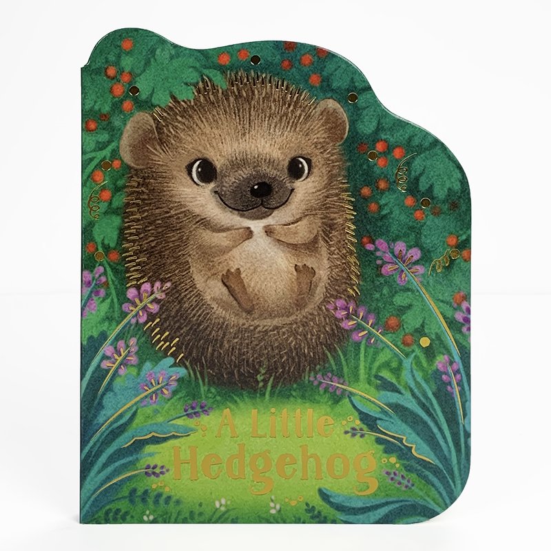 A Little Hedgehog - Board Book
