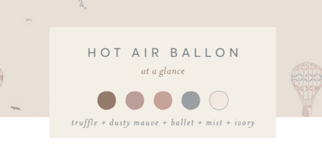 Muslin Burp Cloth (2-pack) -Hot Air Balloon+ Coconut